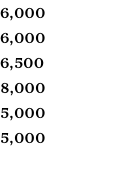 6,000 6,000 6,500 8,000 5,000 5,000